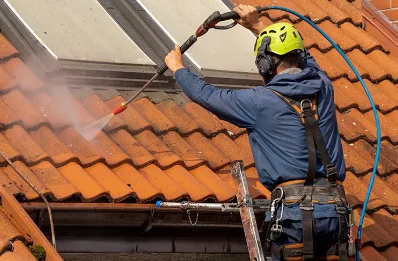 Démoussage et hydrofuge de toiture à Vertamboz